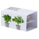 SET 2 MACETEROS BIODEGRADABLES CON SEMILLAS DE MENTA Y PEREJIL