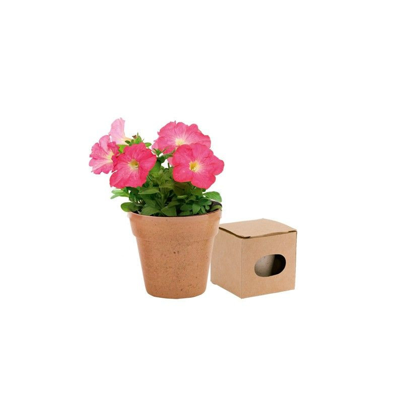 MACETERO BIODEGRADABLE CON SEMILLAS DE PETUNIA