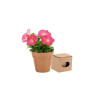 MACETERO BIODEGRADABLE CON SEMILLAS DE PETUNIA
