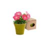 MACETERO BIODEGRADABLE CON SEMILLAS DE PETUNIA