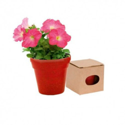 MACETERO BIODEGRADABLE CON SEMILLAS DE PETUNIA