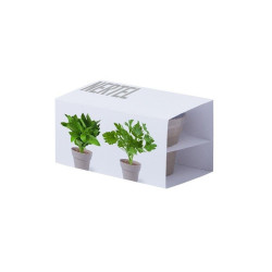 SET 2 MACETEROS BIODEGRADABLES CON SEMILLAS DE MENTA Y PEREJIL