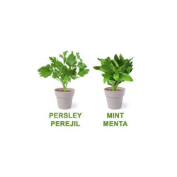 SET 2 MACETEROS BIODEGRADABLES CON SEMILLAS DE MENTA Y PEREJIL