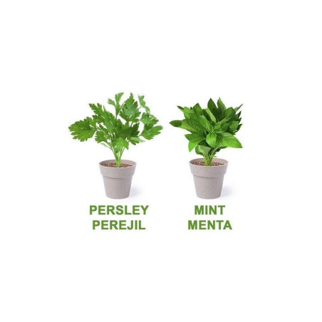 SET 2 MACETEROS BIODEGRADABLES CON SEMILLAS DE MENTA Y PEREJIL